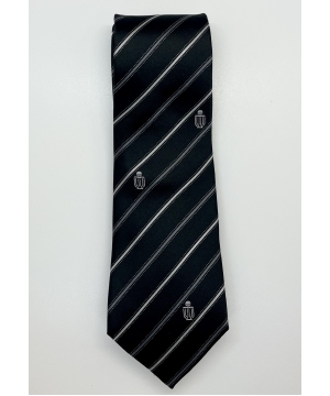 HKUST Silk Tie 